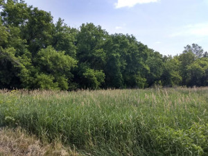 Photo for TBD State Hwy 16, Rushford, MN 55971 - Listing #6142478 TBD State Hwy 16, Rushford, MN 55971