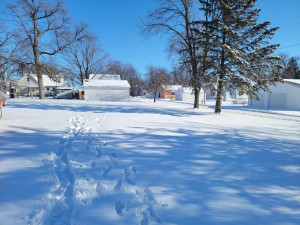 Photo for 104 2nd Street SE, Rose Creek, MN 55970 - Listing #6142858 104 2nd Street SE, Rose Creek, MN 55970
