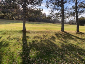 Photo for 505 James Street NE, Chatfield, MN 55923 - Listing #6131754 505 James Street NE, Chatfield, MN 55923