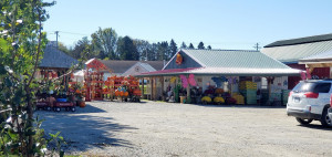 Photo for 625 Main Ave N, Harmony, MN 55939 - Listing #6015228 625 Main Ave N, Harmony, MN 55939