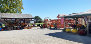 Photo for 625 Main Ave N, Harmony, MN 55939 - Listing #6015228 625 Main Ave N, Harmony, MN 55939