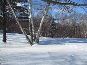 Photo for 1329 Skyline Drive, Winona, MN 55987 - Listing #6143302 1329 Skyline Drive, Winona, MN 55987