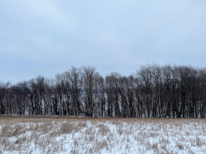Photo for 26xxx 709th Street, Lake City, MN 55041 - Listing #6147204 26xxx 709th Street, Lake City, MN 55041