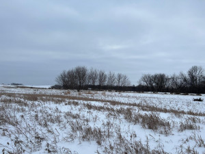 Photo for 26xxx 709th Street, Lake City, MN 55041 - Listing #6147204 26xxx 709th Street, Lake City, MN 55041
