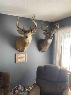Photo for 15784 County 23, Verndale, MN 56481 - Listing #6158604 15784 County 23, Verndale, MN 56481