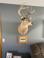 Photo for 15784 County 23, Verndale, MN 56481 - Listing #6158604 15784 County 23, Verndale, MN 56481