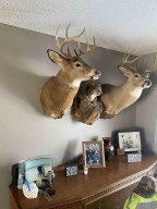 Photo for 15784 County 23, Verndale, MN 56481 - Listing #6158604 15784 County 23, Verndale, MN 56481