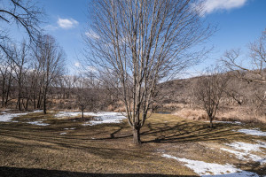 Photo for 303 Sheridan Street W, Lanesboro, MN 55949 - Listing #6151891 303 Sheridan Street W, Lanesboro, MN 55949
