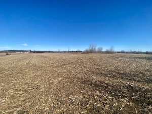 Photo for 11339 State Highway 56, MN 55951 - Listing #6163713 11339 State Highway 56, MN 55951
