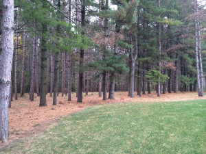 Photo for 35850 Whispering Pine Way, Lake City, MN 55041 - Listing #6161817 35850 Whispering Pine Way, Lake City, MN 55041
