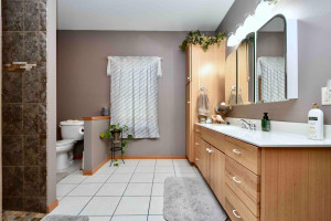 Photo for 133 Waterford Circle, Winona, MN 55987 - Listing #6140757 133 Waterford Circle, Winona, MN 55987
