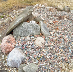Photo for 90917 240th Street, Austin, MN 55912 - Listing #6176986 Outside this shed there is a dump tank for your camper to be emptied out in as well!