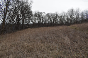 Photo for 38877 270th Street, Peterson, MN 55962 - Listing #6185040 38877 270th Street, Peterson, MN 55962