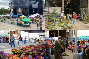 Photo for 200 Park Avenue S, Minneapolis, MN 55415 - Listing #6187240 Mill City Farmers Market - every Saturday