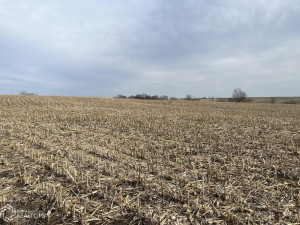 Photo for 0 290th Street, IA - Listing #6189366 0 290th Street, IA
