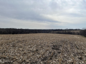 Photo for 0 290th Street, IA - Listing #6189366 0 290th Street, IA