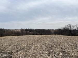 Photo for 0 290th Street, IA - Listing #6189366 0 290th Street, IA