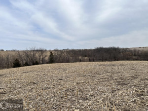 Photo for 0 290th Street, IA - Listing #6189366 0 290th Street, IA