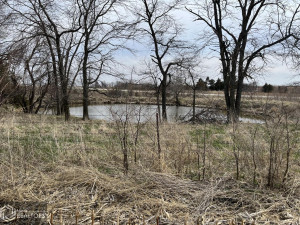Photo for 0 290th Street, IA - Listing #6189366 0 290th Street, IA