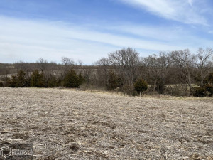 Photo for 0 290th Street, IA - Listing #6189366 0 290th Street, IA
