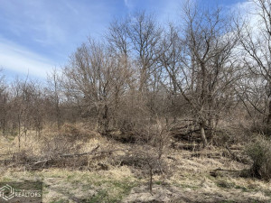 Photo for 0 290th Street, IA - Listing #6189366 0 290th Street, IA
