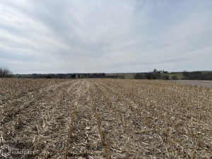 Photo for 0 290th Street, IA - Listing #6189366 0 290th Street, IA