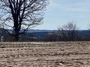 Photo for 1004 Overlook Drive, Preston, MN 55965 - Listing #6145986 1004 Overlook Drive, Preston, MN 55965