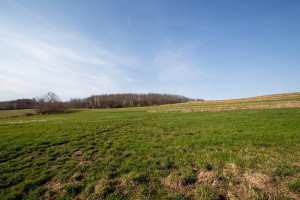 Photo for XXXXX 117th Street SE, Chatfield, MN 55923 - Listing #6190279 XXXXX 117th Street SE, Chatfield, MN 55923