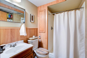 Photo for 7812 29th Street N, Oakdale, MN 55128 - Listing #6193596 Lower level bath now, with large shower stall. There's an enormous bedroom on this level as well, currently used for storage.