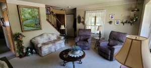 Photo for 110 NW 4th Street, Adams, MN 55909 - Listing #6191008 110 NW 4th Street, Adams, MN 55909