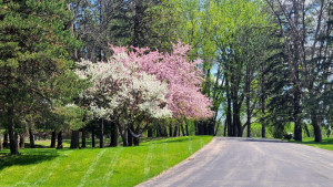 Photo for 4030 Silver Creek Road NE, Rochester, MN 55906 - Listing #6187170 4030 Silver Creek Road NE, Rochester, MN 55906