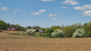 Photo for 4030 Silver Creek Road NE, Rochester, MN 55906 - Listing #6187170 4030 Silver Creek Road NE, Rochester, MN 55906
