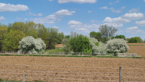 Photo for 4030 Silver Creek Road NE, Rochester, MN 55906 - Listing #6187170 4030 Silver Creek Road NE, Rochester, MN 55906