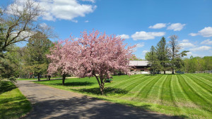 Photo for 4030 Silver Creek Road NE, Rochester, MN 55906 - Listing #6187170 4030 Silver Creek Road NE, Rochester, MN 55906