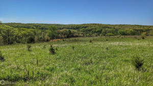 Photo for 0 250th Ave, IA - Listing #6200619 0 250th Ave, IA