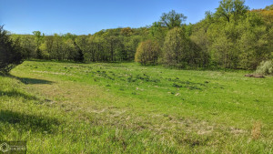Photo for 0 250th Ave, IA - Listing #6200619 0 250th Ave, IA