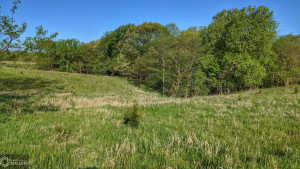 Photo for 0 250th Ave, IA - Listing #6200619 0 250th Ave, IA