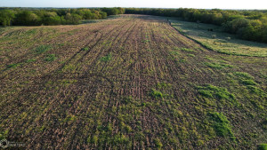 Photo for 0 250th Ave, IA - Listing #6200619 0 250th Ave, IA