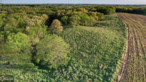 Photo for 0 250th Ave, IA - Listing #6200619 35_Southern-Iowa-Hunting-Land-For-Sale.jpeg