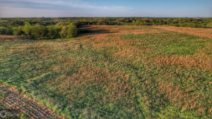 Photo for 0 250th Ave, IA - Listing #6200619 32_Southern-Iowa-Hunting-Land-For-Sale.jpeg