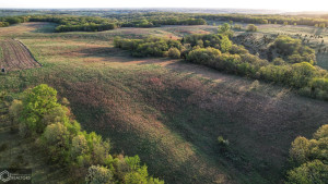 Photo for 0 250th Ave, IA - Listing #6200619 31_Southern-Iowa-Hunting-Land-For-Sale.jpeg