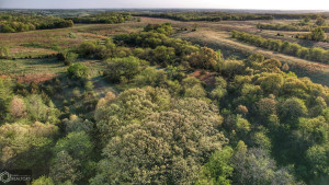 Photo for 0 250th Ave, IA - Listing #6200619 30c_Southern-Iowa-Hunting-Land-For-Sale.jpeg
