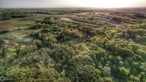 Photo for 0 250th Ave, IA - Listing #6200619 30a_Southern-Iowa-Hunting-Land-For-Sale.jpeg