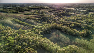 Photo for 0 250th Ave, IA - Listing #6200619 26b_Southern-Iowa-Hunting-Land-For-Sale.jpeg