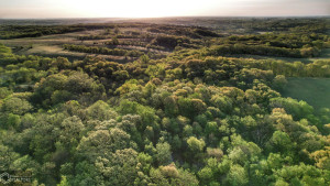Photo for 0 250th Ave, IA - Listing #6200619 26a_Southern-Iowa-Hunting-Land-For-Sale.jpeg