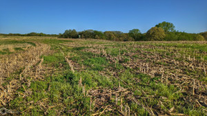 Photo for 0 250th Ave, IA - Listing #6200619 0 250th Ave, IA