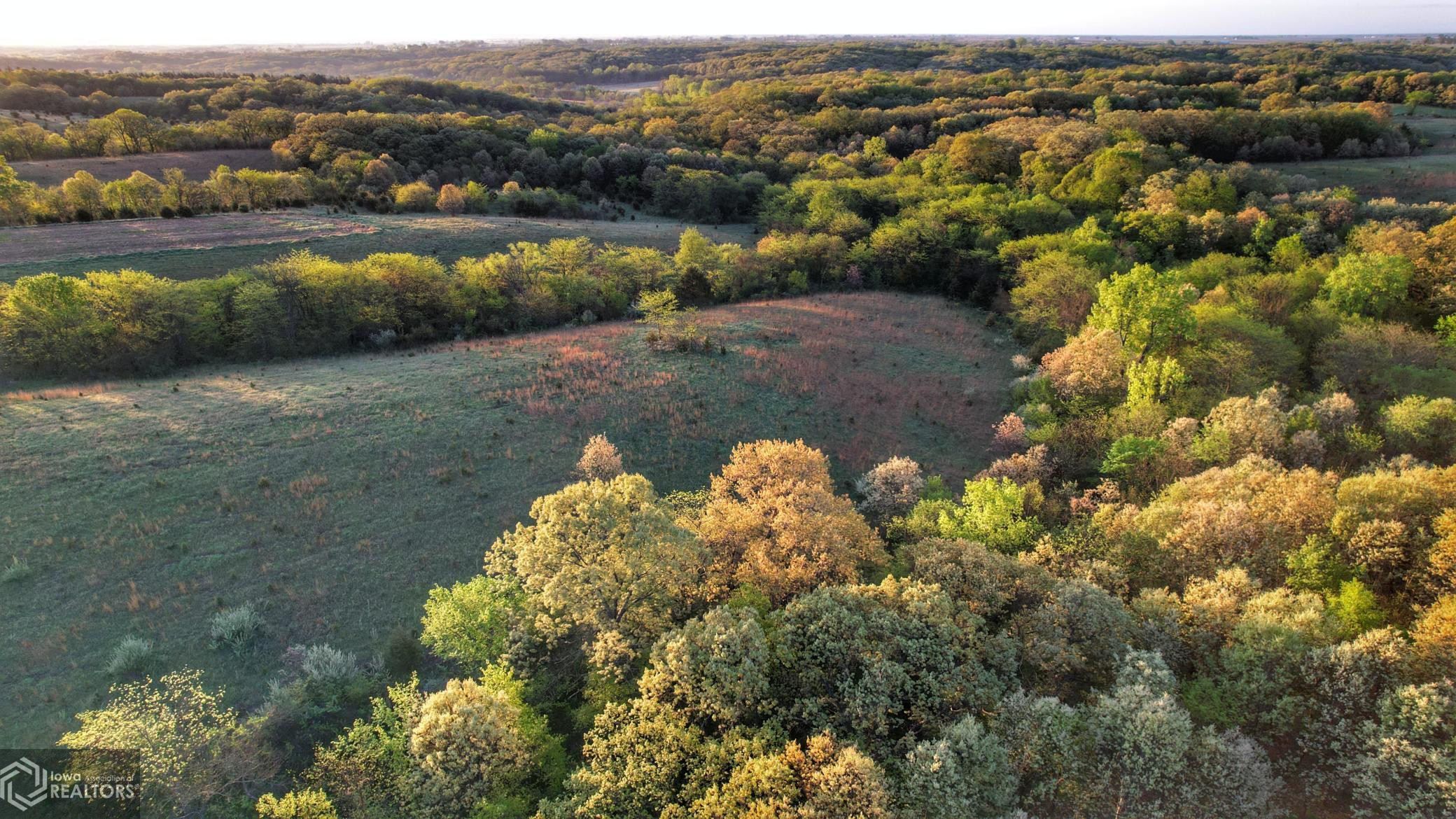 Photo for 0 250th Ave, IA - Listing #6200619 0 250th Ave, IA