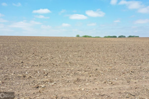 Photo for Gentry Avenue, Independence, IA - Listing #6201492 16205-photo-land-buchanan-county-iowa-153-acres-listing-number-16205-dji-0973-1jpg.jpg