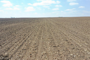 Photo for Gentry Avenue, Independence, IA - Listing #6201492 16205-photo-land-buchanan-county-iowa-153-acres-listing-number-16205-dji-0971-1jpg.jpg