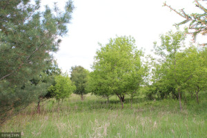 Photo for 8342 70th Street SE, Eyota, MN 55934 - Listing #6192906 8342 70th Street SE, Eyota, MN 55934